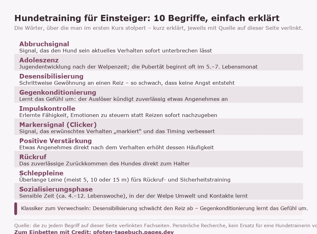 Glossar-Karte mit zehn Hundetrainings-Begriffen für Einsteiger, alphabetisch. Abbruchsignal: Signal, das den Hund sein aktuelles Verhalten sofort unterbrechen lässt. Adoleszenz: Jugendentwicklung nach der Welpenzeit; die Pubertät beginnt oft im fünften bis siebten Lebensmonat. Desensibilisierung: schrittweise Gewöhnung an einen Reiz, so schwach, dass keine Angst entsteht. Gegenkonditionierung: lernt das Gefühl um, indem der Auslöser zuverlässig etwas Angenehmes ankündigt. Impulskontrolle: erlernte Fähigkeit, Emotionen zu steuern statt Reizen sofort nachzugeben. Markersignal (Clicker): Signal, das erwünschtes Verhalten markiert und das Timing verbessert. Positive Verstärkung: etwas Angenehmes direkt nach dem Verhalten erhöht dessen Häufigkeit. Rückruf: das zuverlässige Zurückkommen des Hundes direkt zum Halter. Schleppleine: überlange Leine, meist 5, 10 oder 15 Meter, fürs Rückruf- und Sicherheitstraining. Sozialisierungsphase: sensible Zeit etwa in der vierten bis zwölften Lebenswoche, in der der Welpe Umwelt und Kontakte lernt.